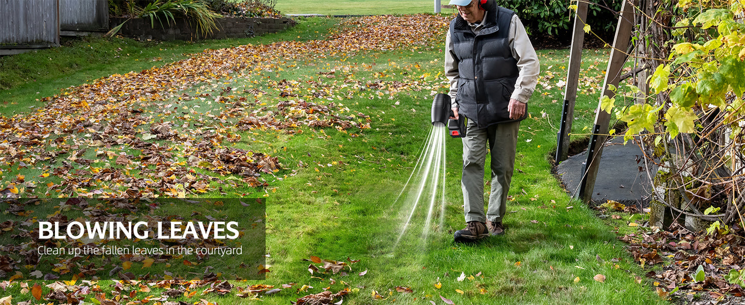 Garden Cleaning & Lighting