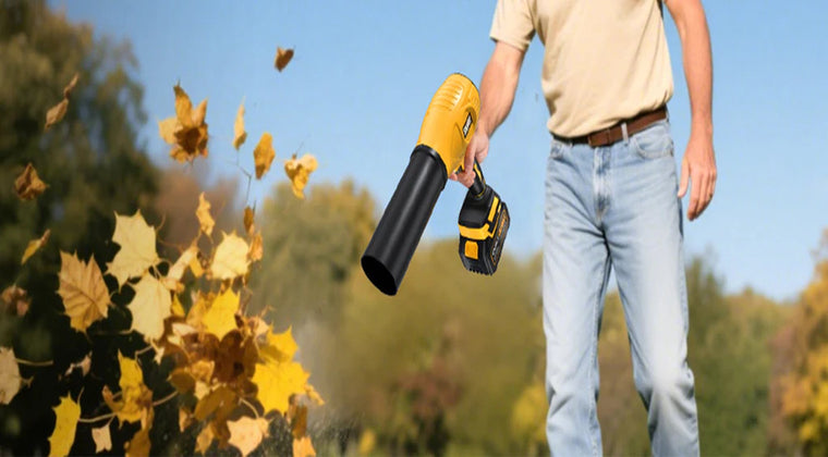 Fall Essentials