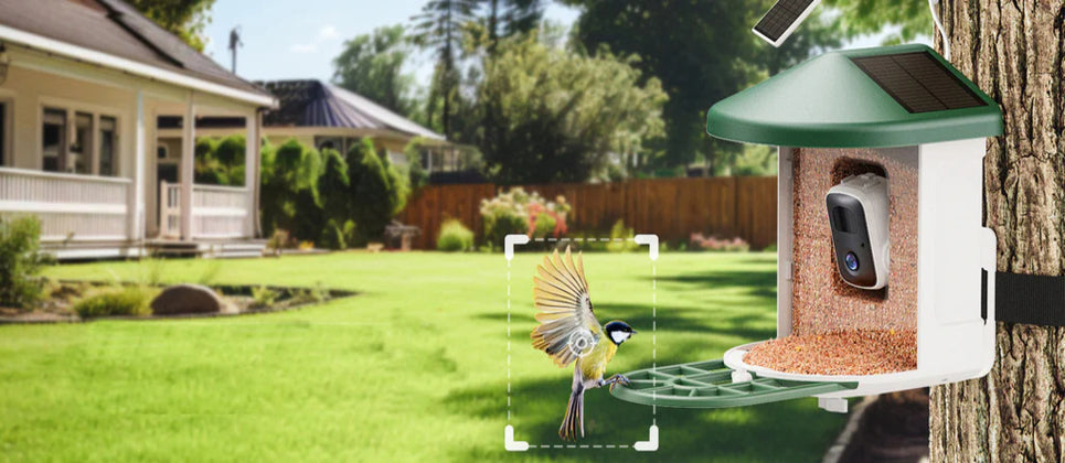 Garden&Outdoor Tools