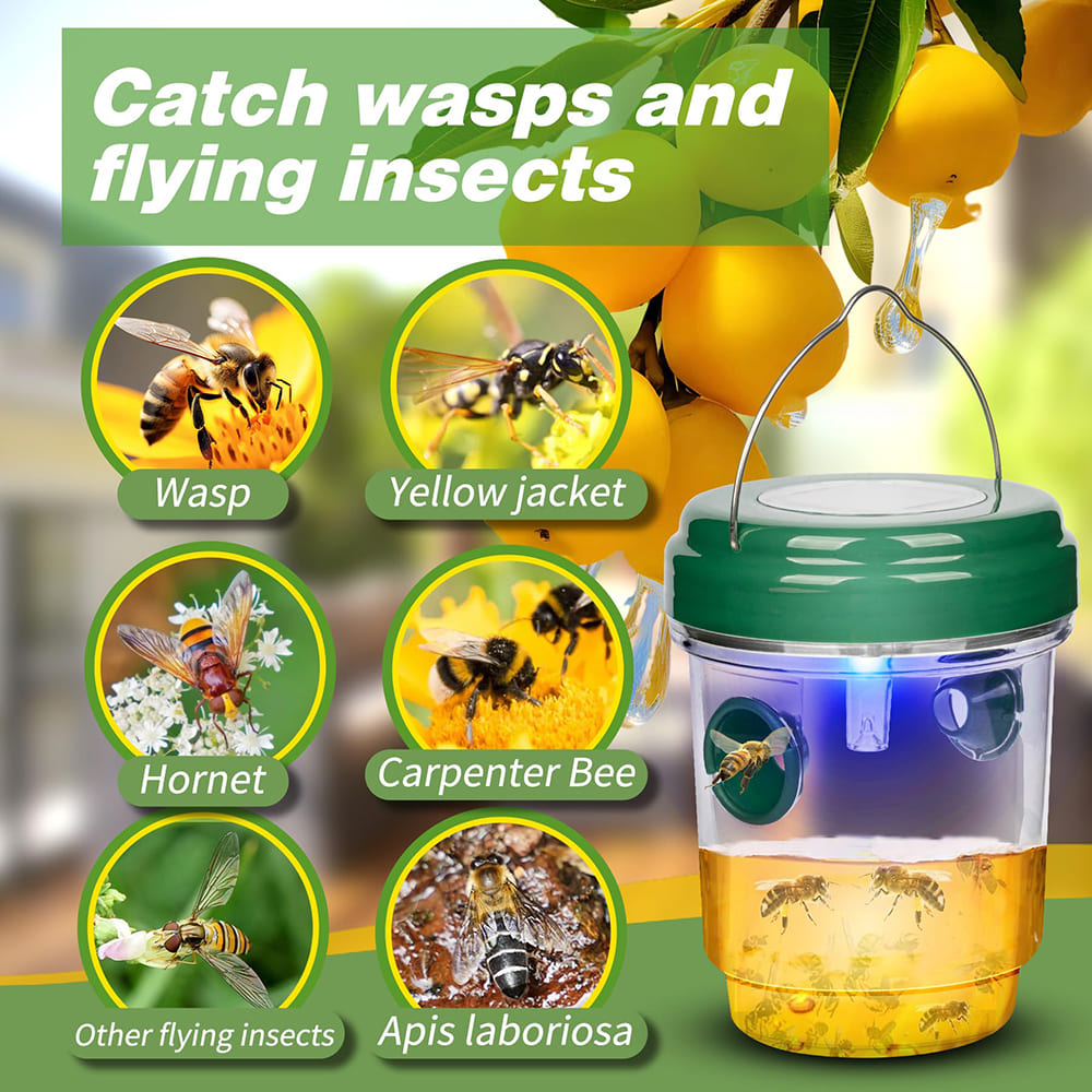 4 Pack Solar Powered Wasp Trap Outdoor Hanging