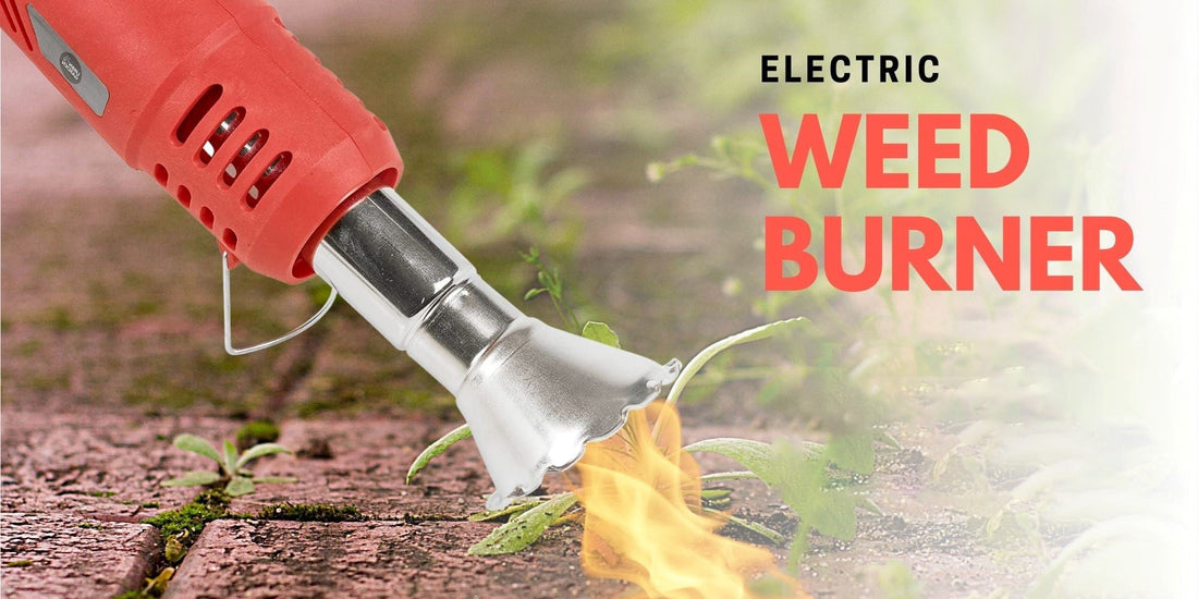 Weed Burner vs Weed Killer: Which is Best For Your Problem?