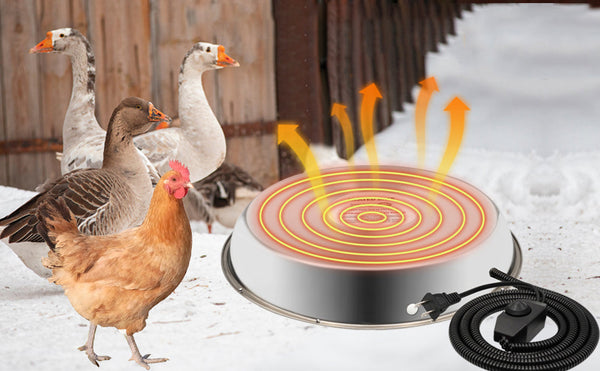 How to Use a Pet Water Heater and Keep Your Pets Hydrated in Winter