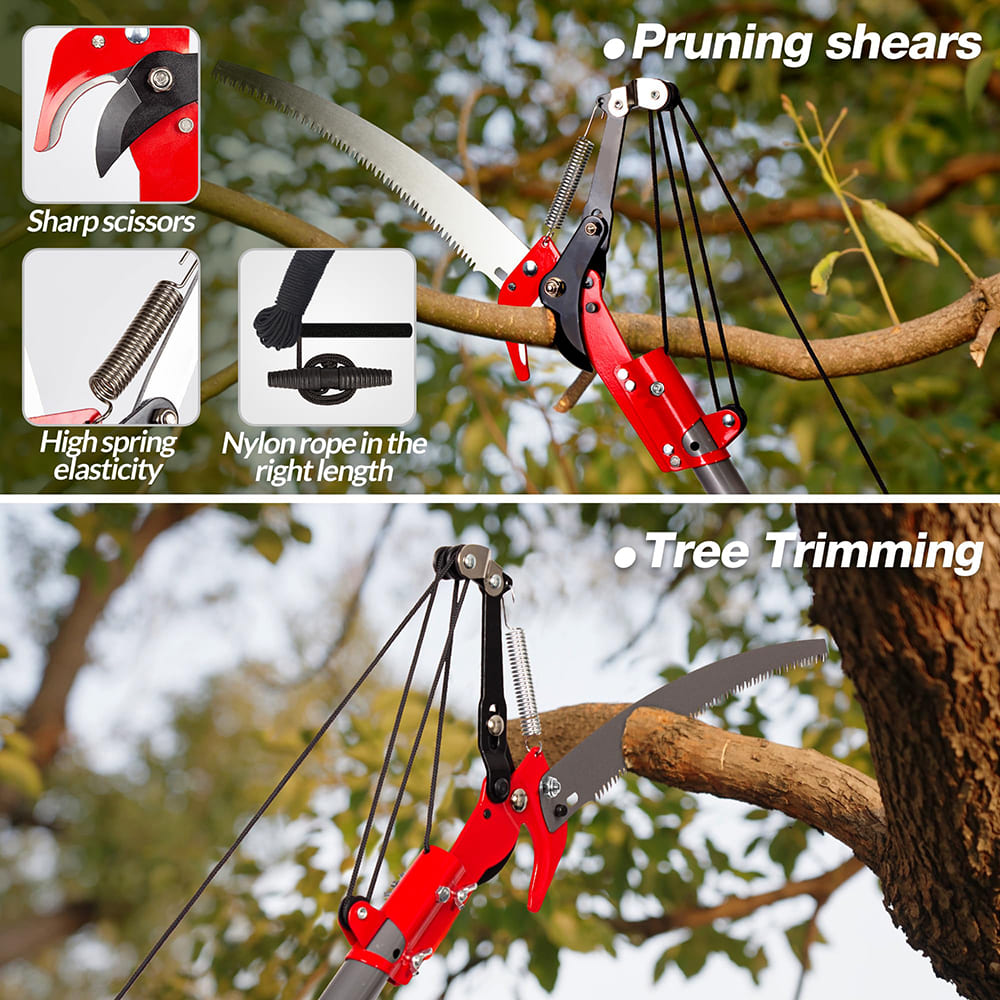 2-in-1 Pruner & Saw with Extendable Handle