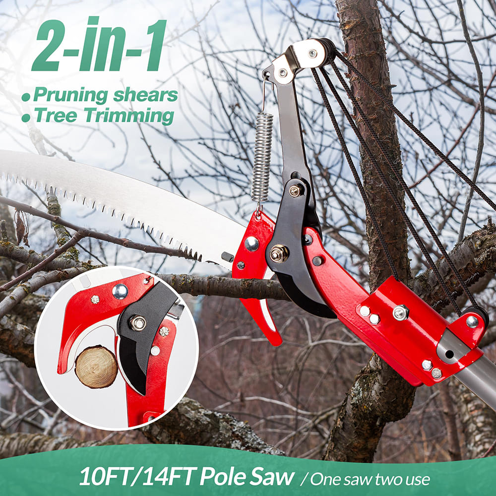 2-in-1 Pruner & Saw with Extendable Handle
