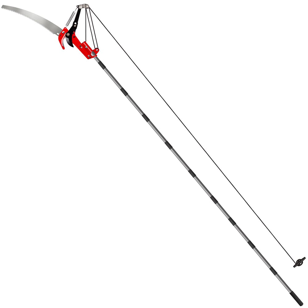 2-in-1 Pruner & Saw with Extendable Handle