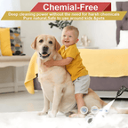 2500W Multi-Head High-Pressure Steam Cleaner