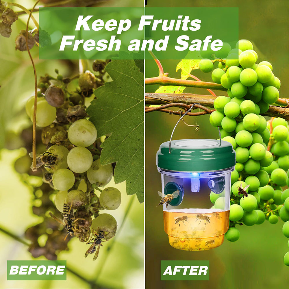 4 Pack Solar Powered Wasp Trap
