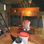 Poultry Chicken Drinker Heated Base for Winter