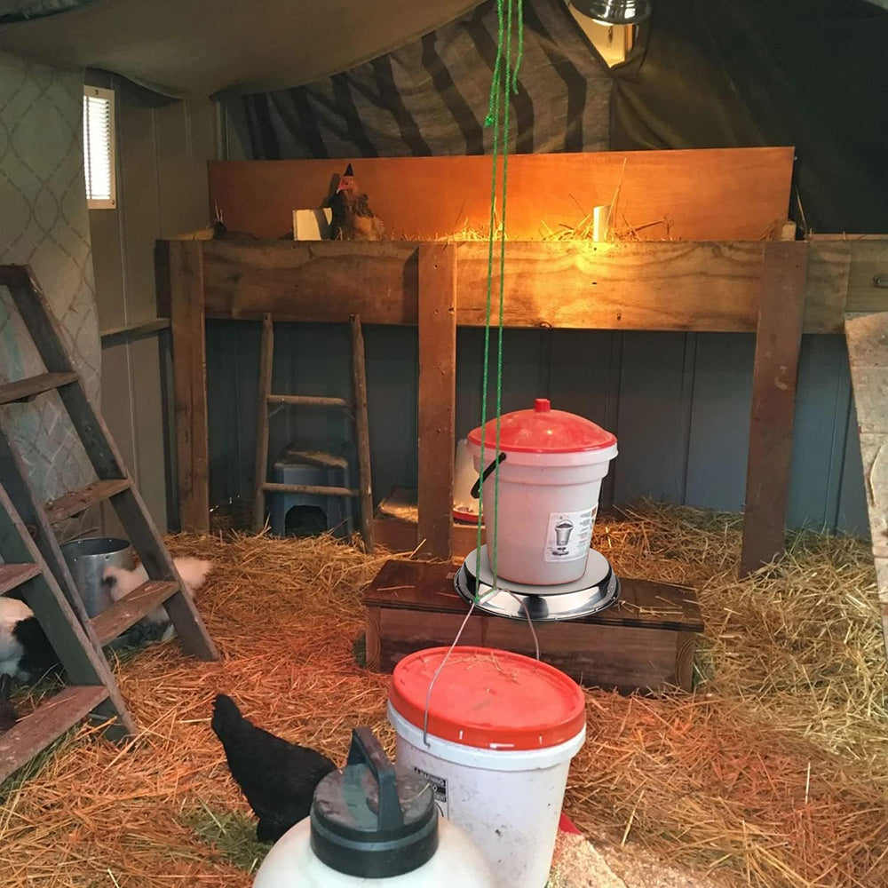 Poultry Chicken Drinker Heated Base for Winter