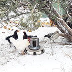 Poultry Chicken Drinker Heated Base for Winter