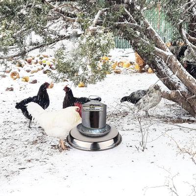 14inch Poultry Drinker Heated Base for Winter
