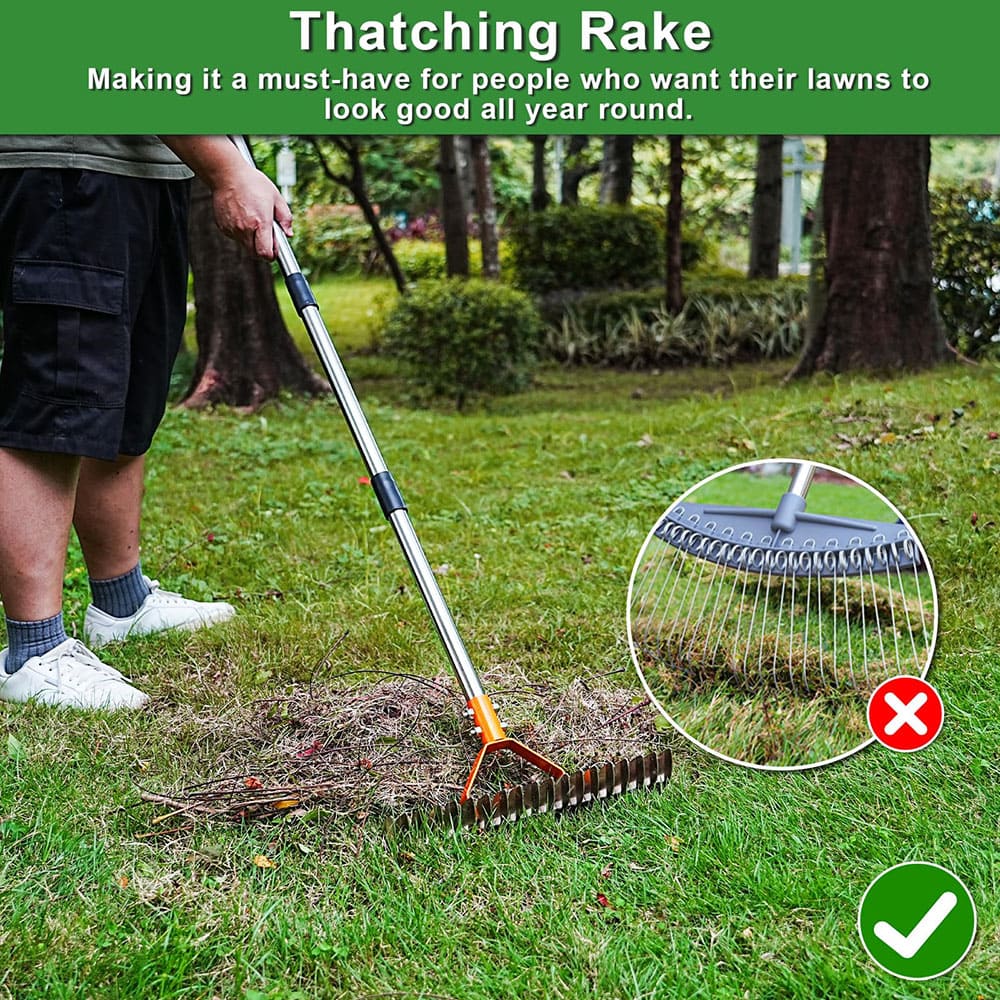 Long Reach Thatch Rake for Garden