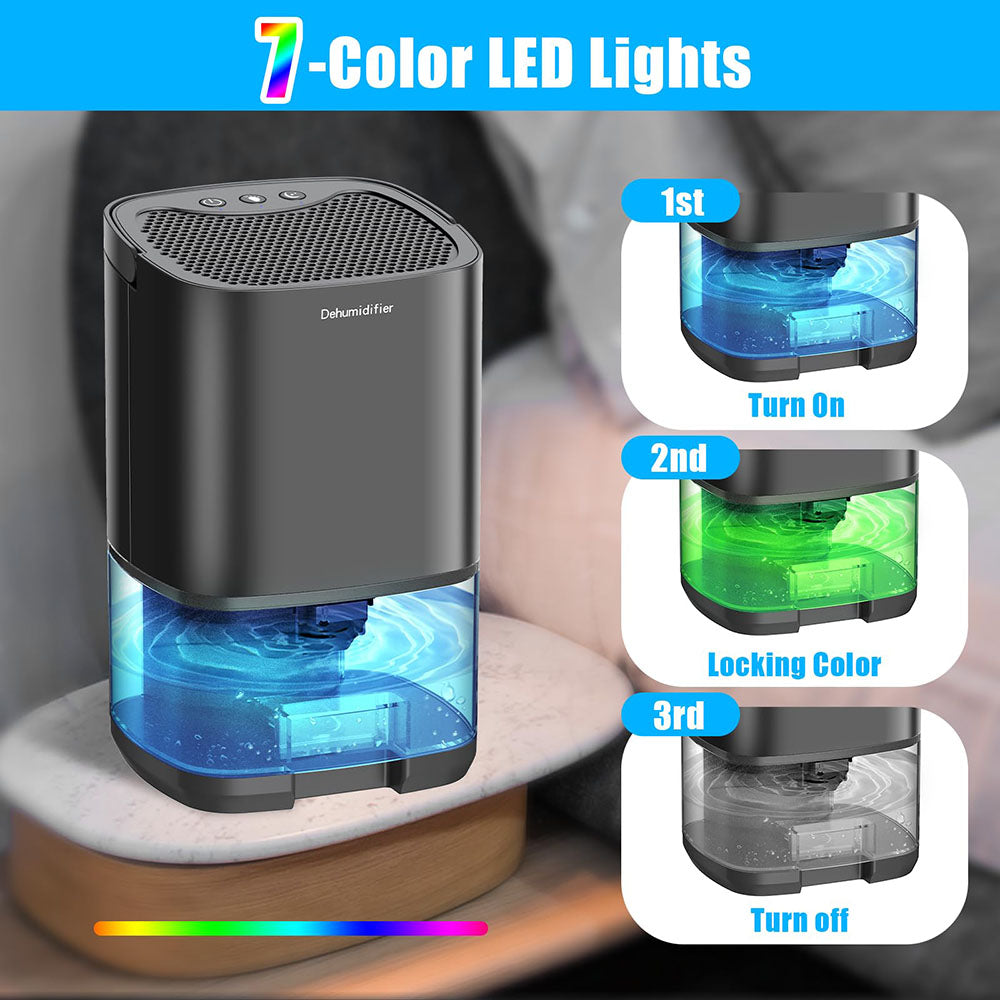 2 in 1 Dehumidifier for Home