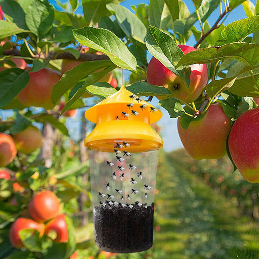 Reusable Fly Trap for Outdoor Hanging
