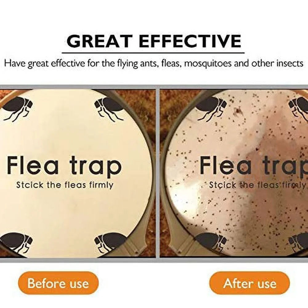 Electric Flea Traps for Home
