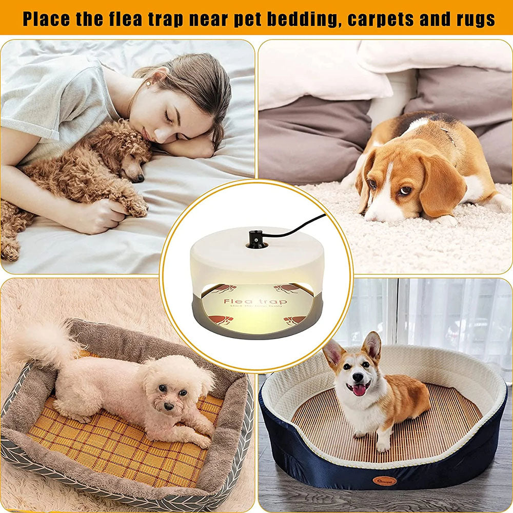 Electric Flea Traps for Home