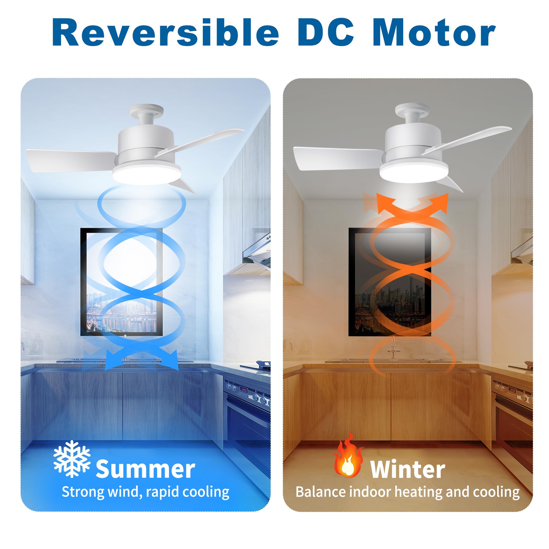 Socket Light Fan with Remote for Indoor