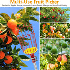 AxiaTool telescopic fruit picking pole with ergonomic handle and durable construction, ideal for reaching high branches.