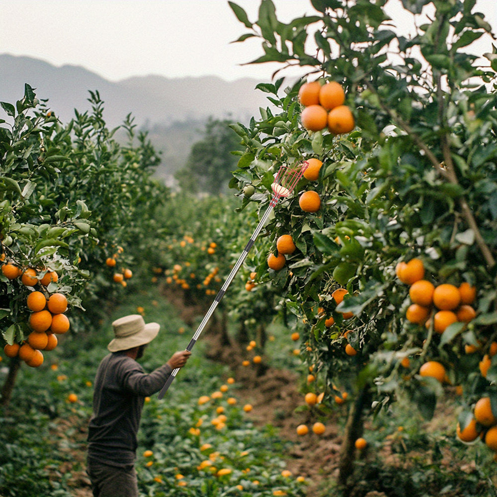 Telescopic fruit picking pole by AxiaTool with stainless steel rod and adjustable length for easy fruit harvesting.