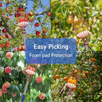 Telescopic fruit picking pole by AxiaTool with ergonomic handle and durable multi-section design for easy cherry harvesting.