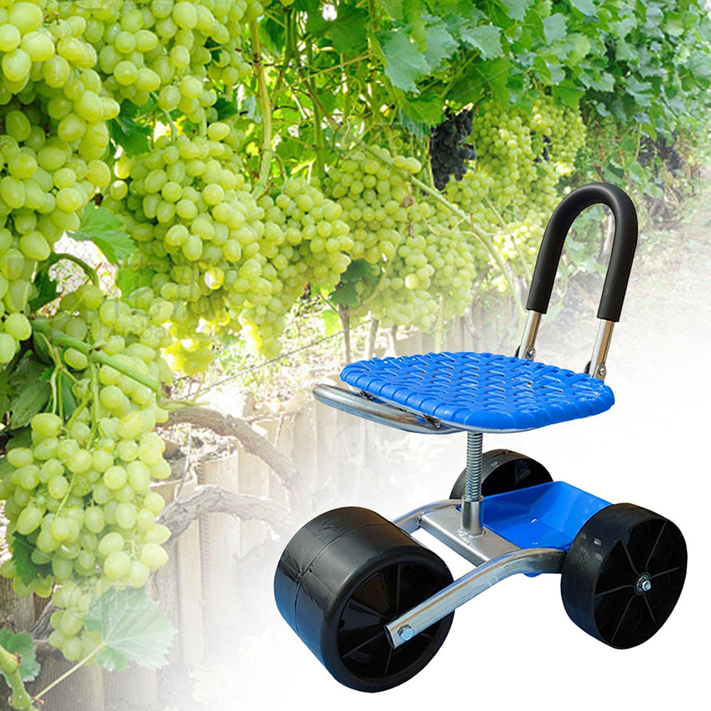 Blue garden stool with wheels in front of green grapes