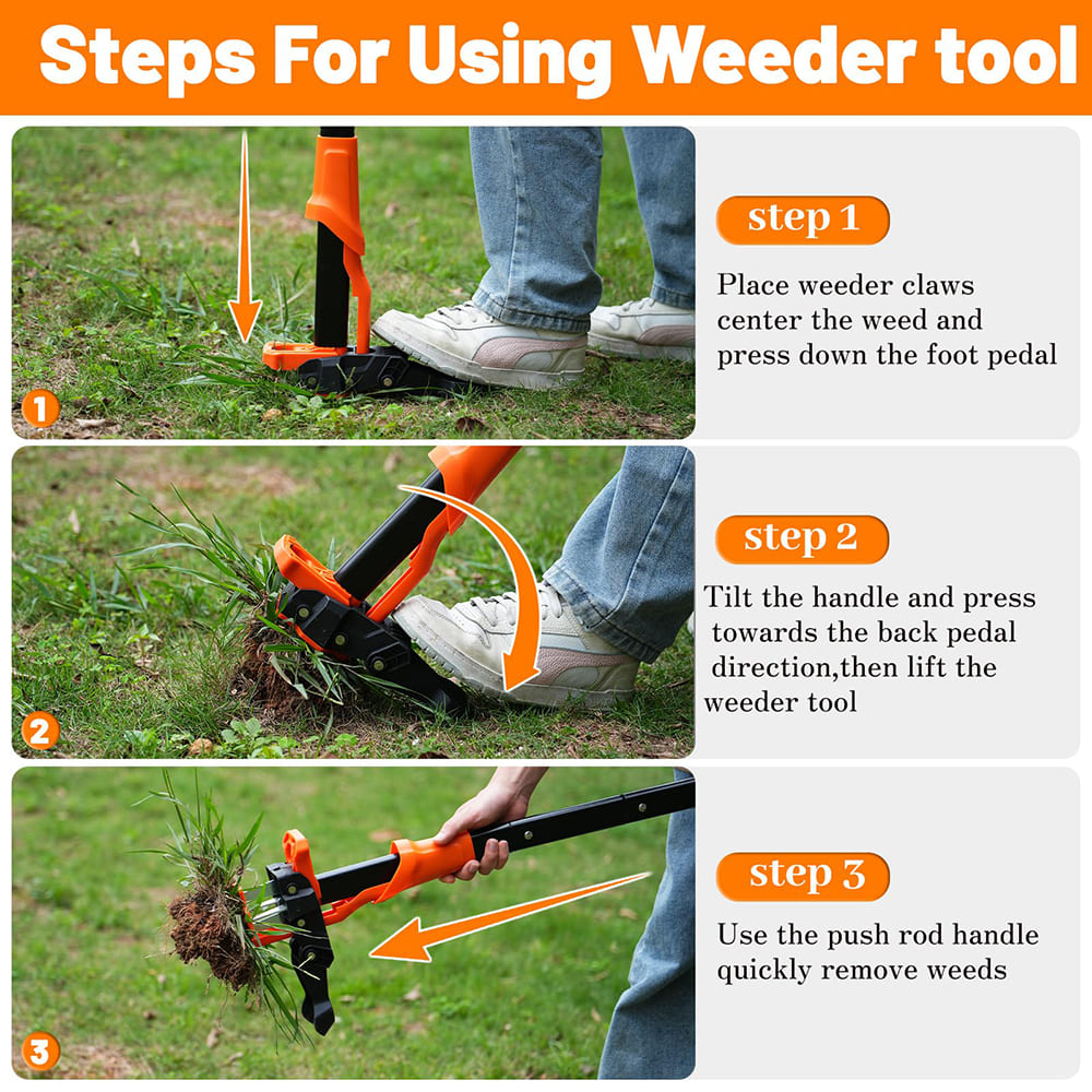 AxiaTool 39-inch long handle weed puller tool with a sturdy grip and sharp prongs for efficient weed removal in gardens.