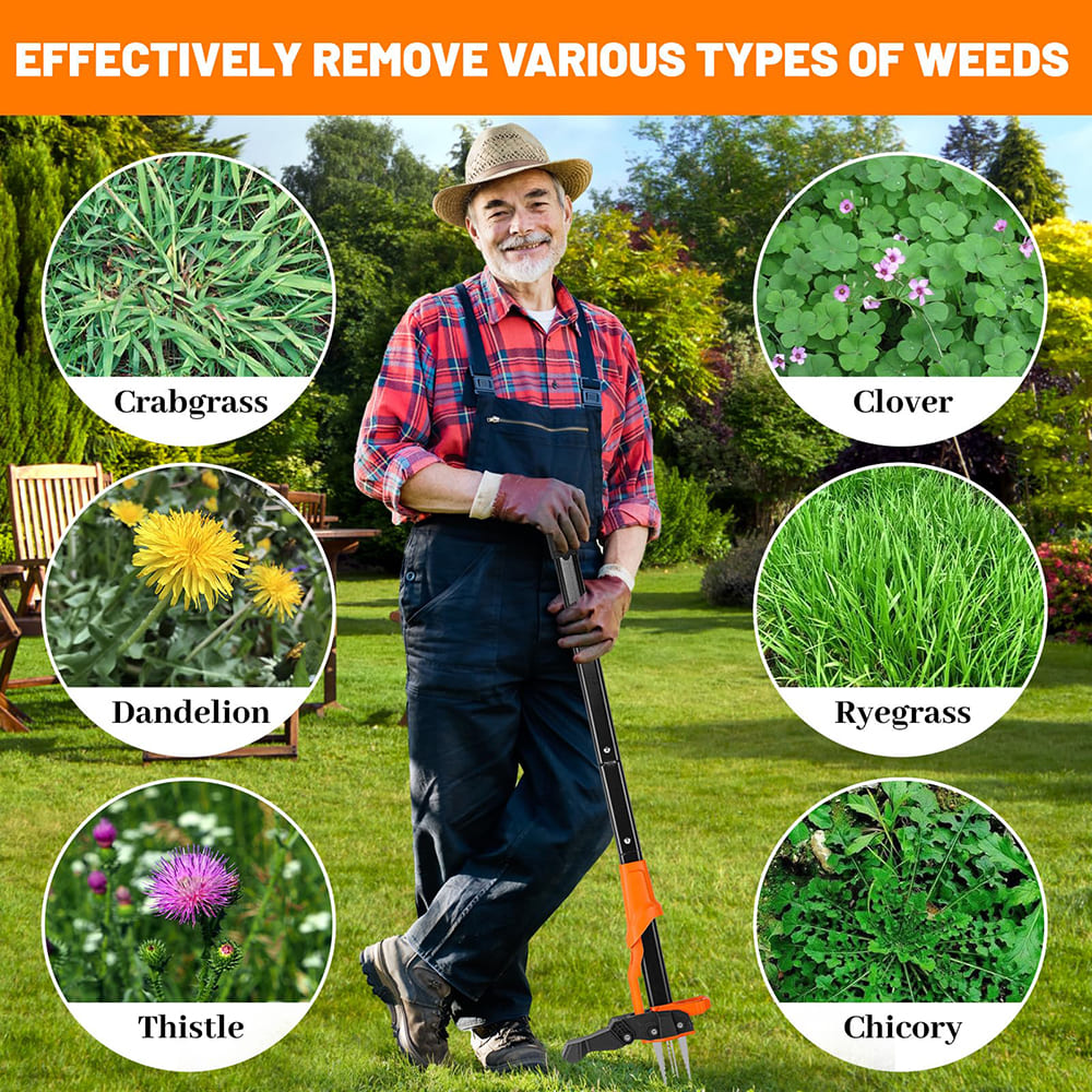 AxiaTool 39-inch long handle weed puller tool with ergonomic grip and sturdy design for easy garden weeding.