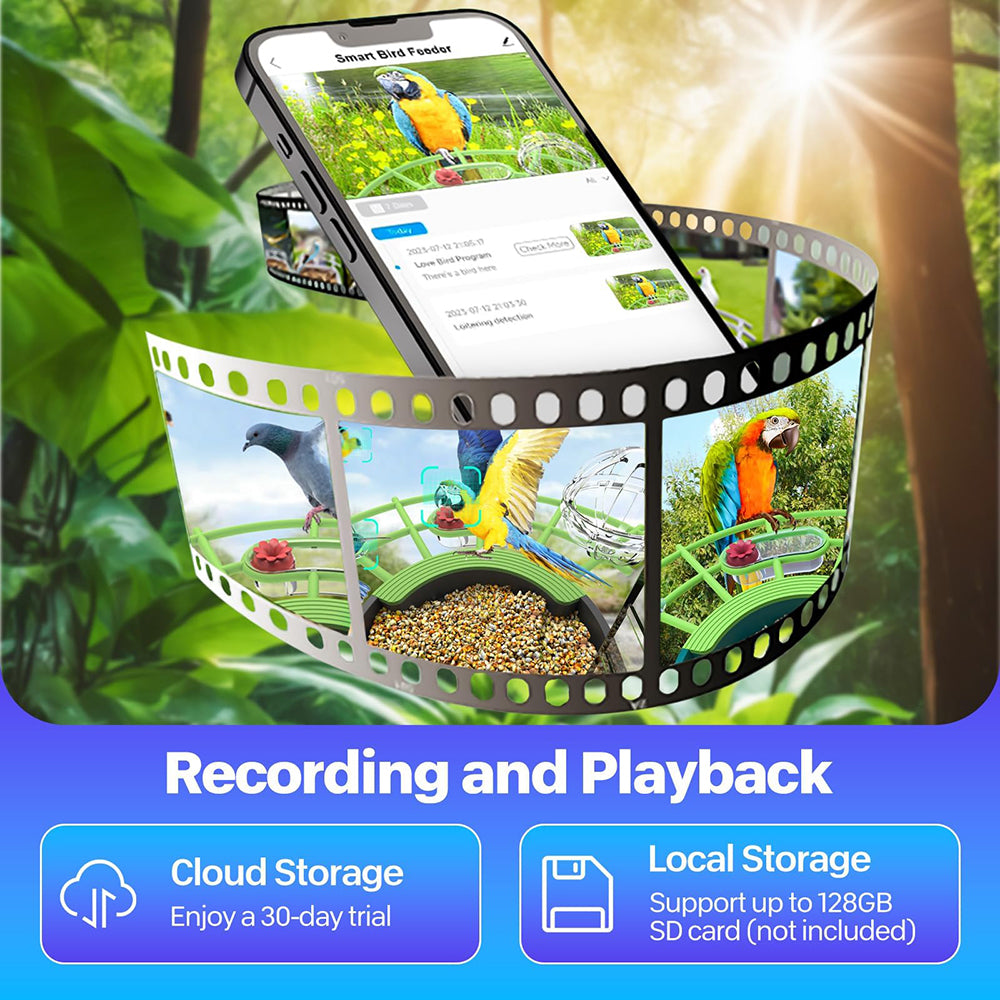 Smart bird feeder with smartphone app interface, surrounded by greenery and sunlit background.