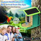 Bird feeder with solar panel and app notification system, family using phone, parrot, tree background