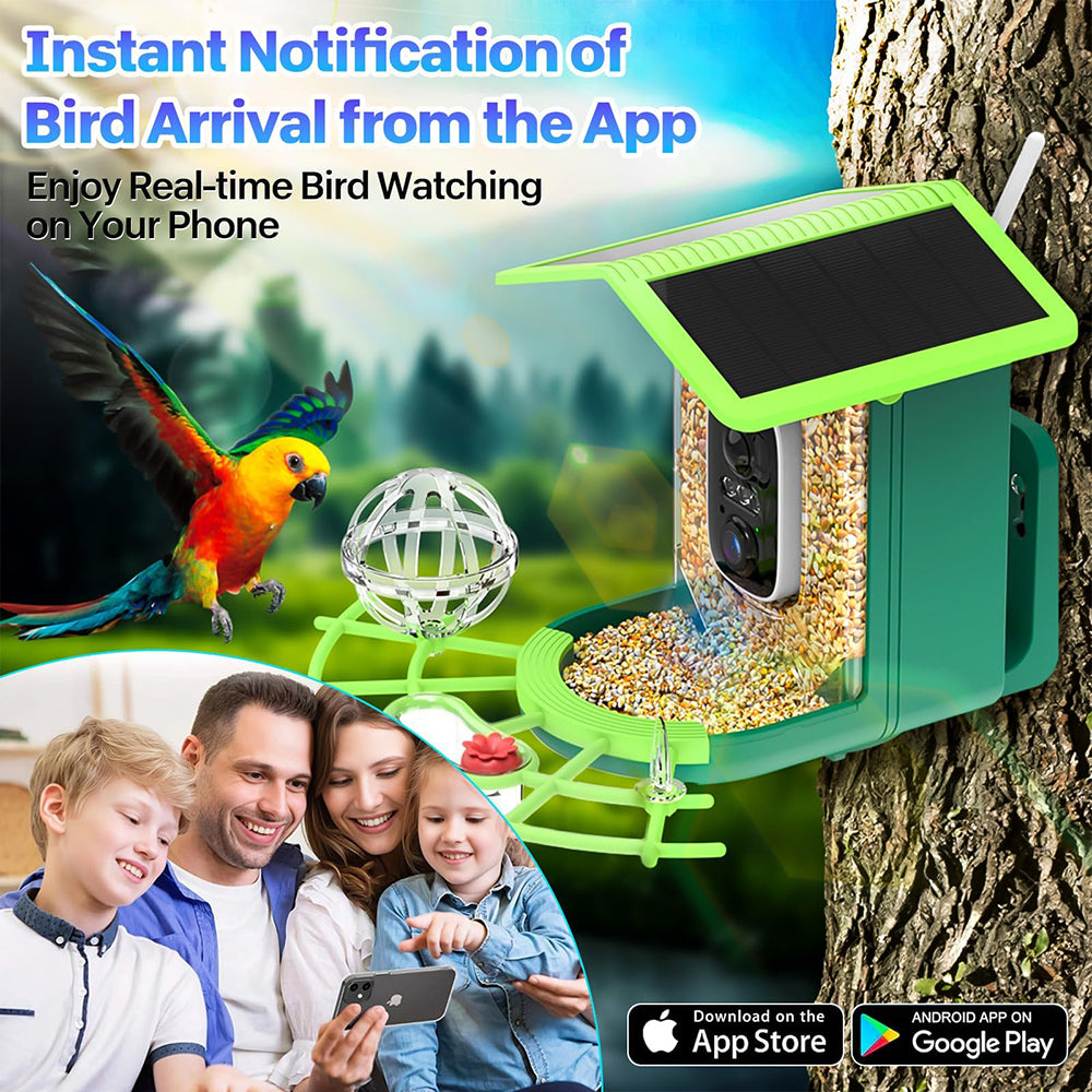 Bird feeder with solar panel and app notification system, family using phone, parrot, tree background