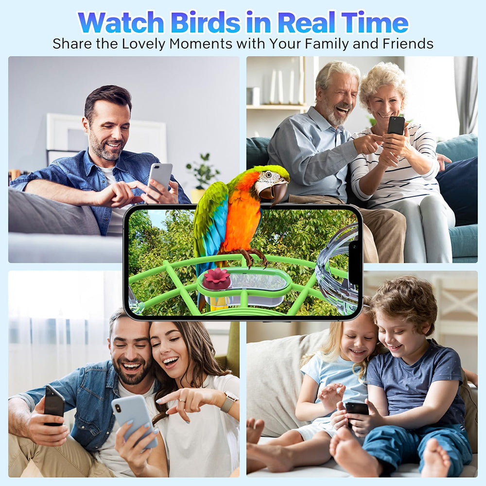 Collage of people using smartphones to watch birds in real-time with a focus on a colorful parrot.