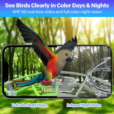 Smartphone displaying a colorful parrot with text about night vision capabilities.