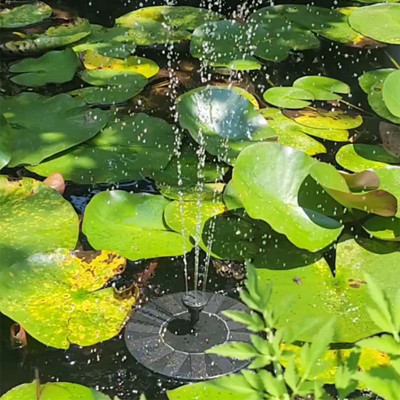 Solar pond fountain with water droplets surrounded by green lily pads