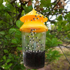 AxiaTool reusable fly trap designed for outdoor hanging, effectively capturing wasps and other pests.