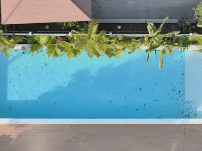 3-in-1 Cordless Pool Vacuum with Extension Rod